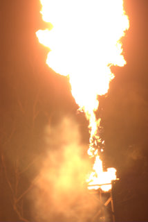 Lazarus Exhibition Attraction Image 5